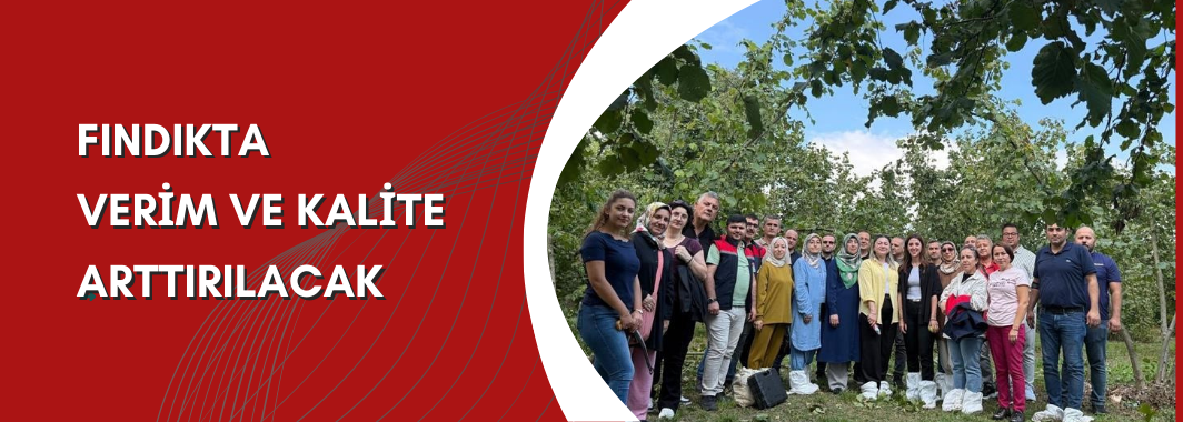 Fındıkta Verim Ve Kalite Arttırılacak