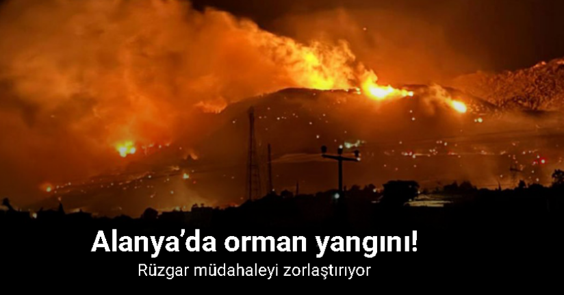 Alanya’da gece başlayan orman yangınına sabahın ilk ışıklarıyla müdahale devam ediyor