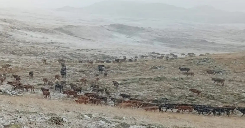 Erzurum’da yüksek kesimlere kar yağdı