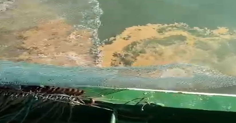 Marmara Denizi'nde müsilaj tehdidi