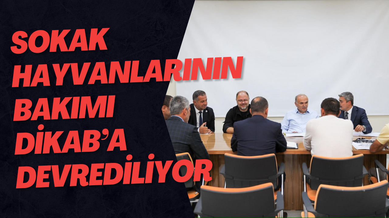 Sokak Hayvanlarının Bakımı DİKAB’a Devrediliyor