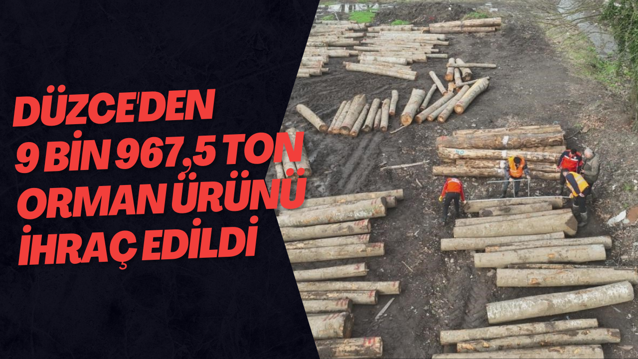 Düzce'den 9 Bin 967,5 Ton Orman Ürünü İhraç Edildi