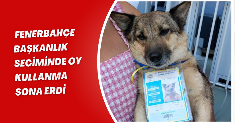 Fenerbahçe başkanlık seçiminde oy kullanma sona erdi