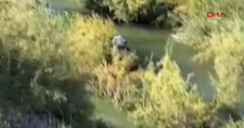 Murat Nehri’nde adacıkta mahsur kalan 4 kişi kurtarıldı