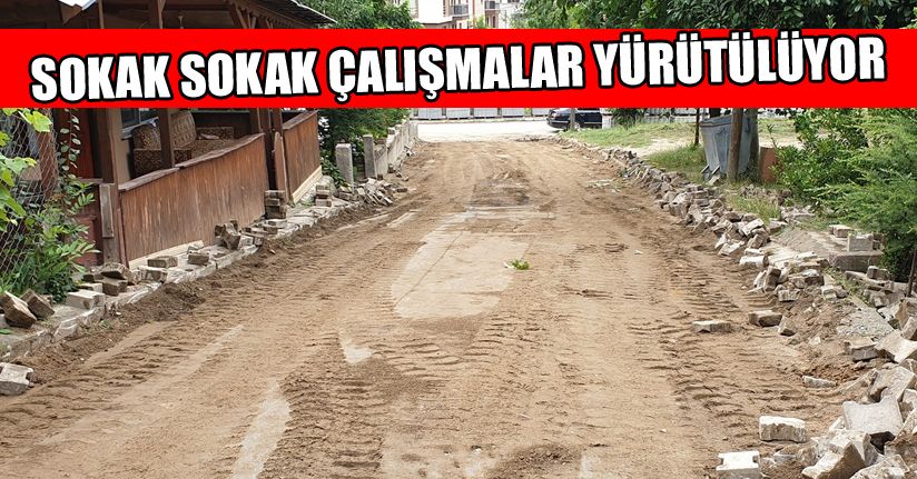 Kaynaşlı'da her sokağa özel çalışma