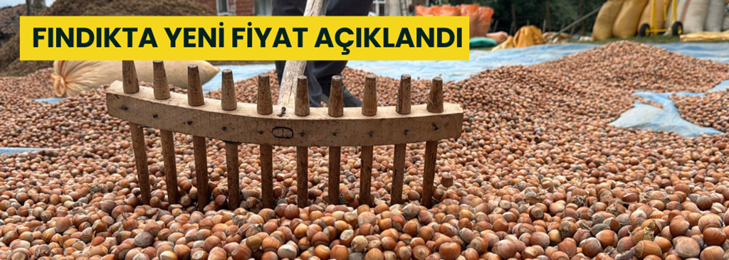 Fındıkta Yeni Fiyat Açıklandı