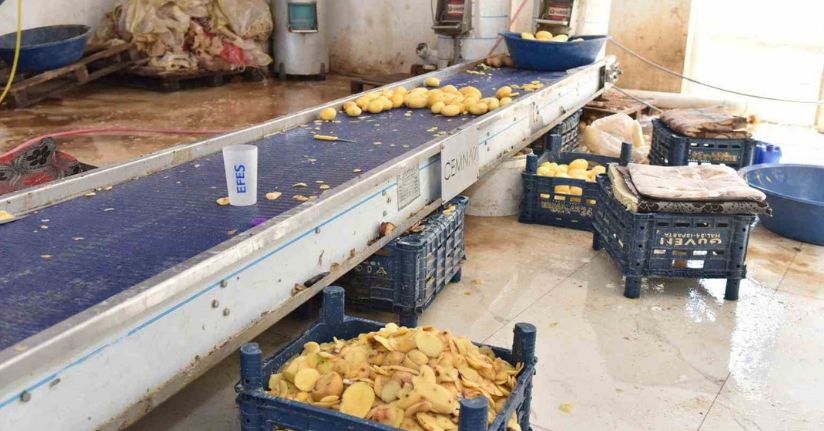 Otel ve restoranlara verilen 1,5 ton işlenmiş patates imha edildi