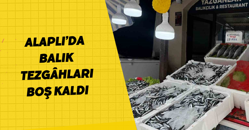 Alaplı’da balık tezgâhları boş kaldı