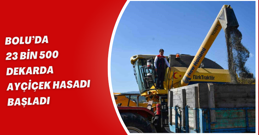 Bolu’da 23 bin 500 dekarda ayçiçek hasadı başladı