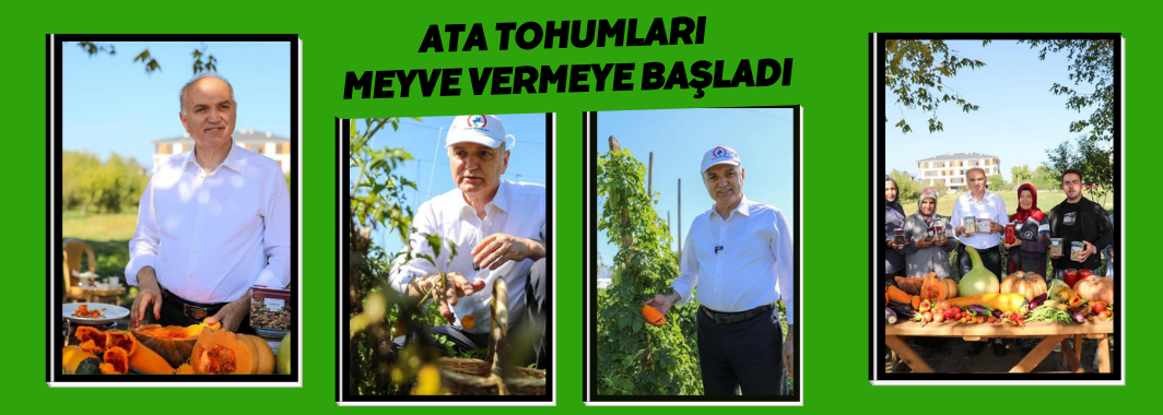 Ata Tohumları Meyve Vermeye Başladı