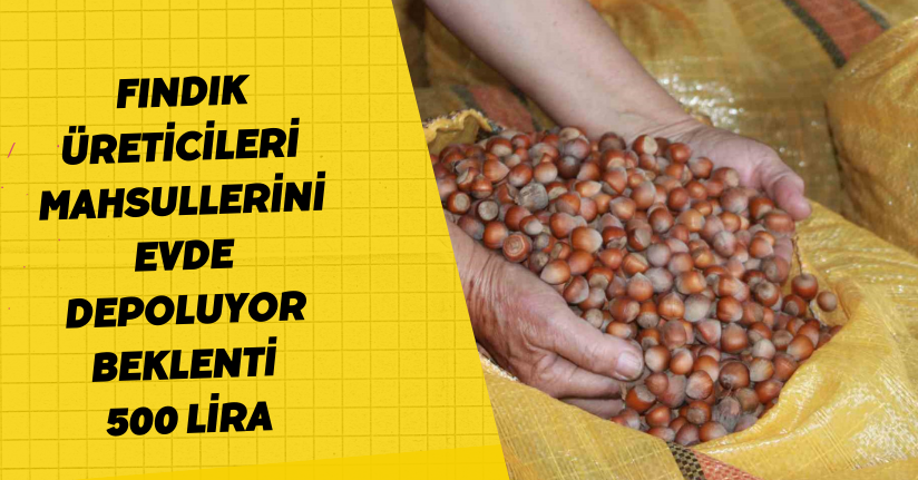 Fındık üreticileri mahsullerini evde depoluyor: Beklenti 500 lira