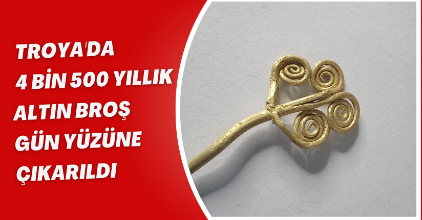 Troya'da 4 bin 500 yıllık altın broş gün yüzüne çıkarıldı