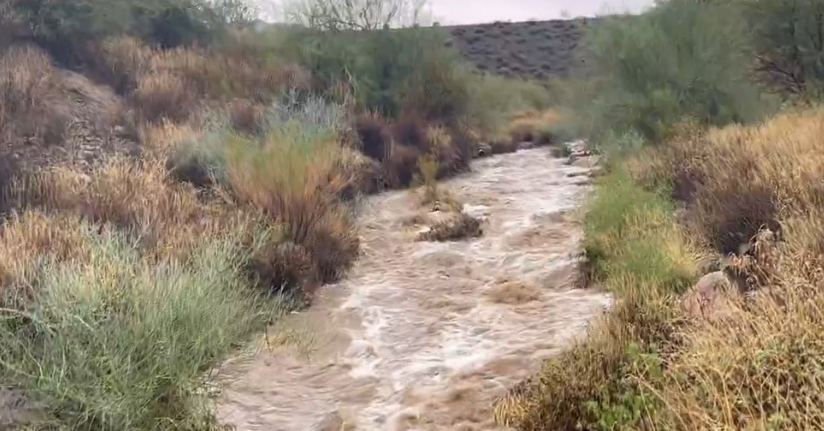 ABD'nin Arizona eyaletinde sel: 4 ölü