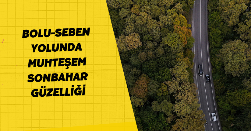 Bolu-Seben yolunda muhteşem sonbahar güzelliği