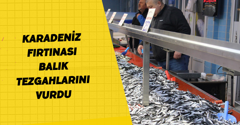 ’Karadeniz fırtınası’ balık tezgahlarını vurdu
