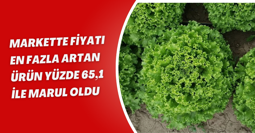 Markette fiyatı en fazla artan ürün yüzde 65,1 ile marul oldu
