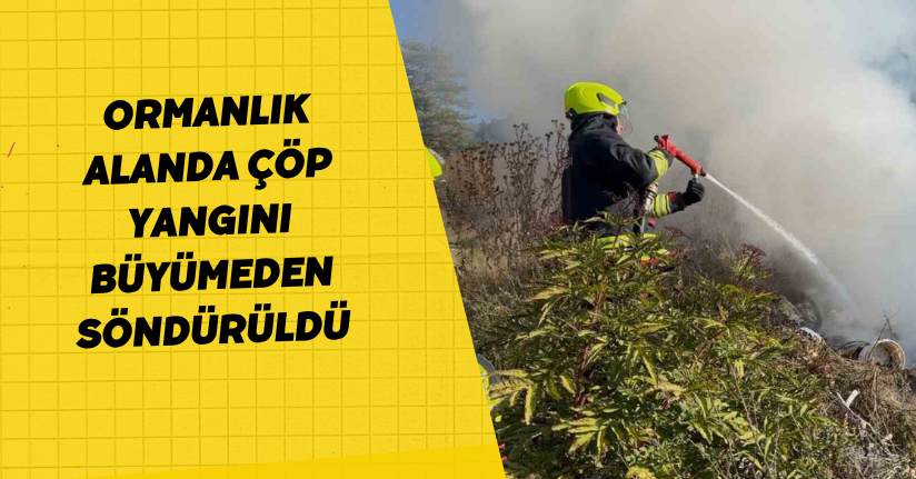 Ormanlık alanda çöp yangını büyümeden söndürüldü