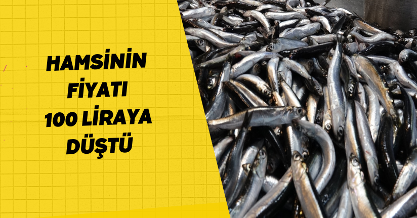Hamsinin fiyatı 100 liraya düştü