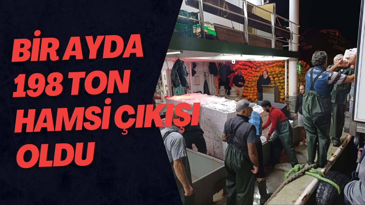 Bir Ayda 198 Ton Hamsi Çıkışı Oldu