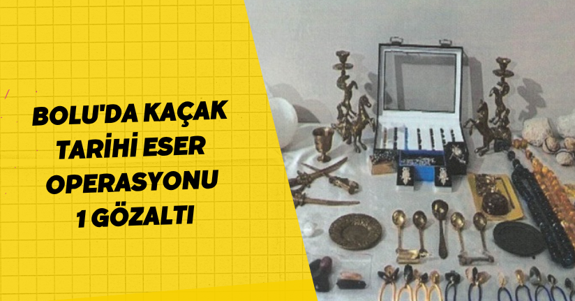 Bolu'da kaçak tarihi eser operasyonu: 1 gözaltı