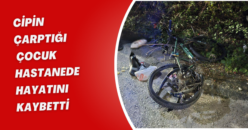 Cipin çarptığı çocuk, hastanede hayatını kaybetti