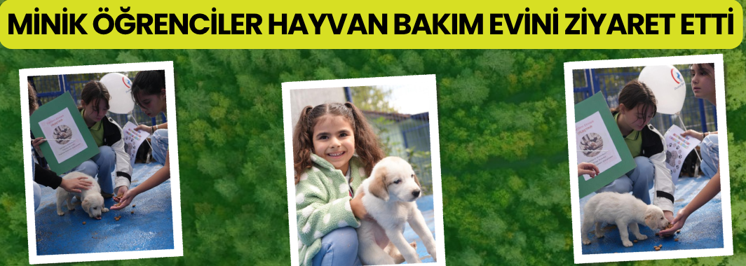 Minik Öğrenciler Hayvan Bakım Evini Ziyaret Etti