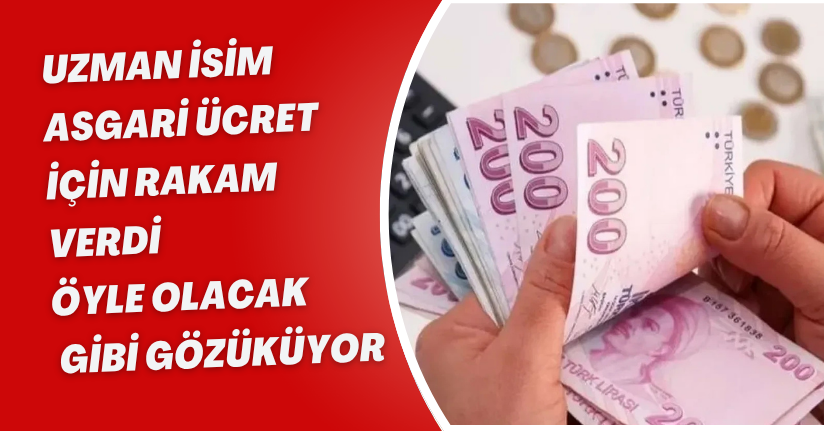 Uzman İsim Asgari Ücret İçin Rakam Verdi! “Öyle Olacak Gibi Gözüküyor”