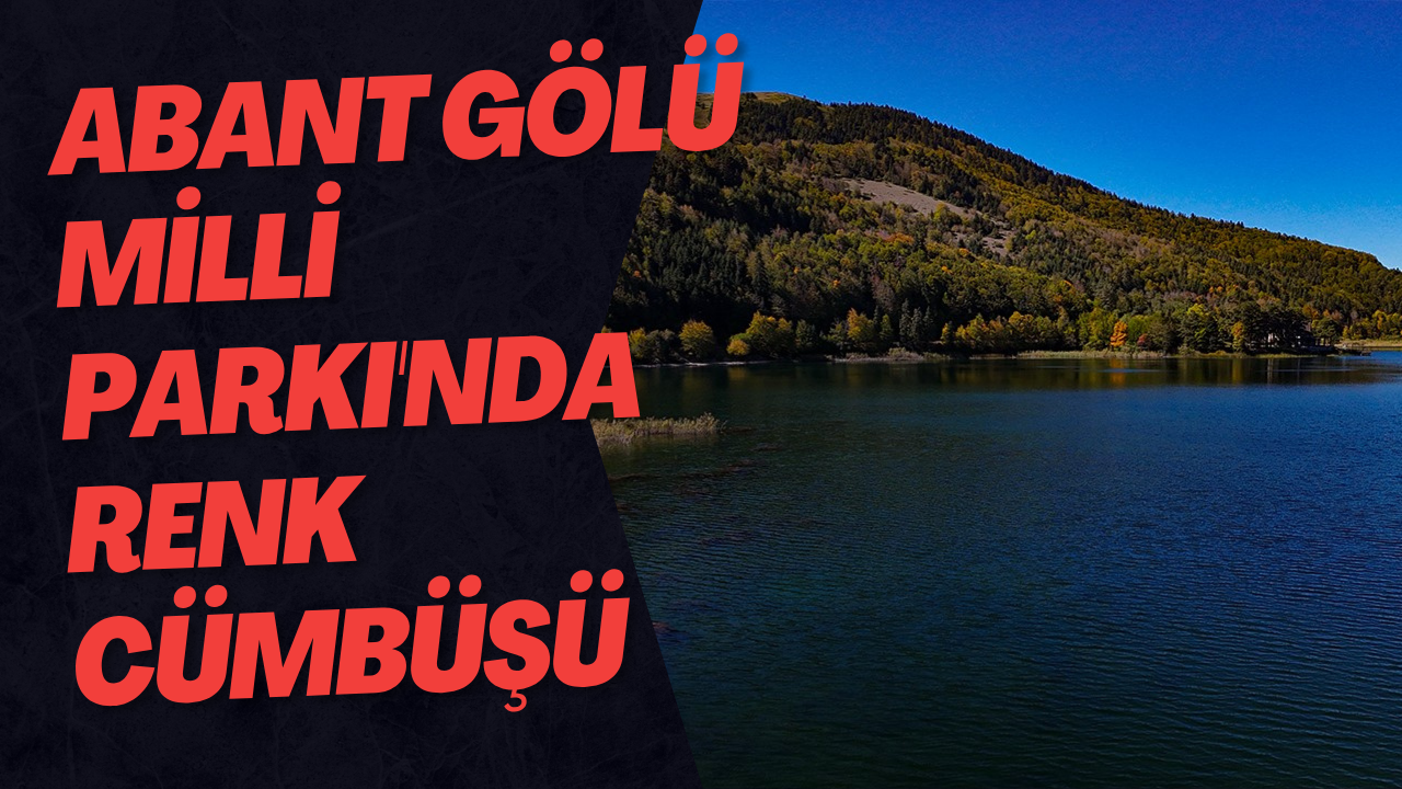 Abant Gölü Milli Parkı'nda Renk Cümbüşü