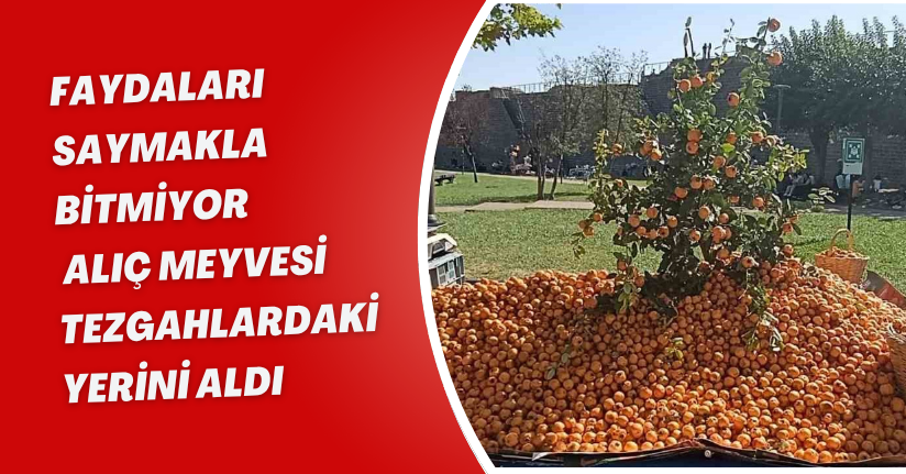 Faydaları saymakla bitmiyor: Alıç meyvesi tezgahlardaki yerini aldı