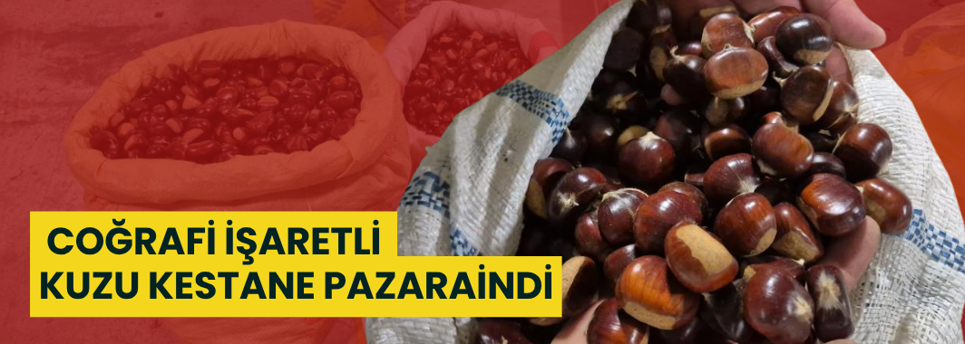 Coğrafi İşaretli Kuzu Kestane Pazara İndi