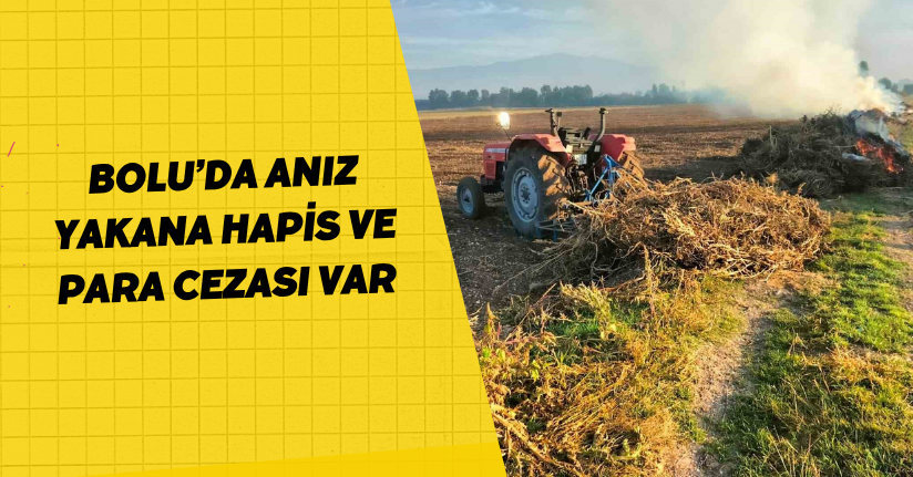 Bolu’da anız yakana hapis ve para cezası var