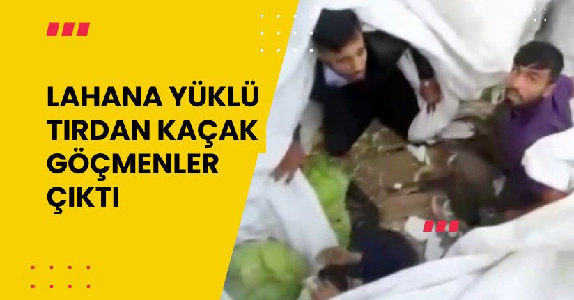 Lahana yüklü tırdan kaçak göçmenler çıktı