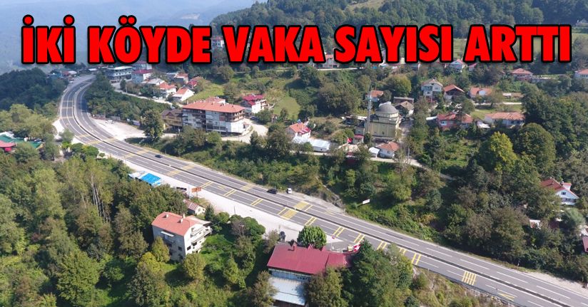 İki köyde korona virüs hortladı