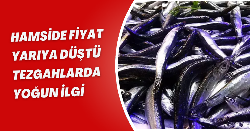 Hamside fiyat yarıya düştü, tezgahlarda yoğun ilgi