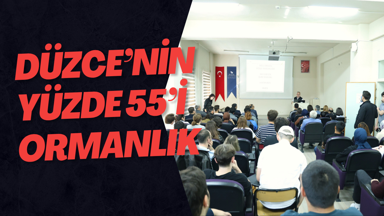 Düzce’nin Yüzde 55’i Ormanlık