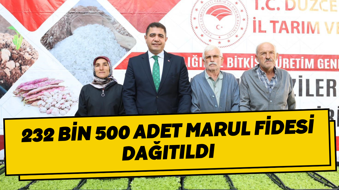 232 Bin 500 Adet Marul Fidesi Dağıtıldı