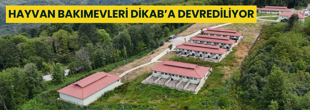 Hayvan Bakımevleri Dikab’a Devrediliyor