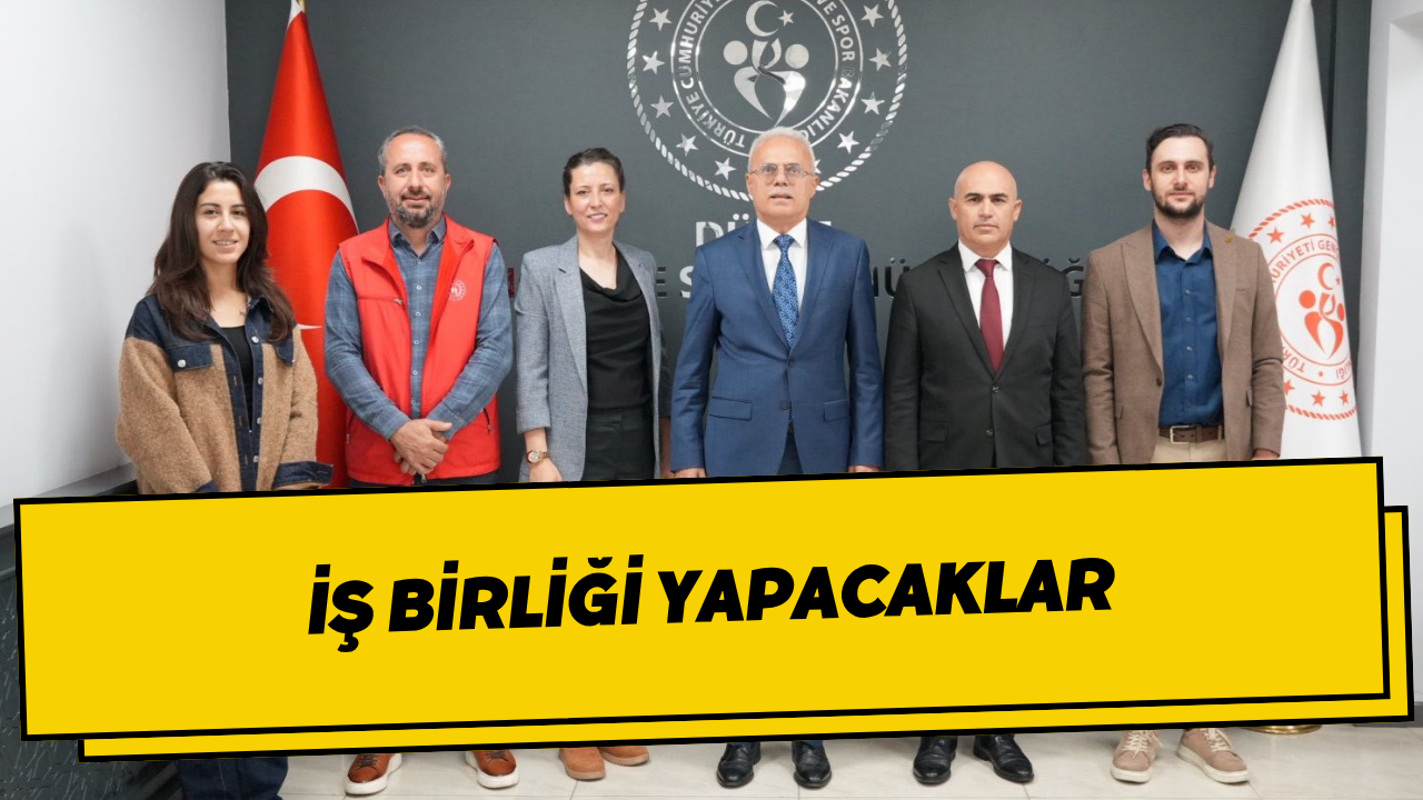 İş Birliği Yapacaklar