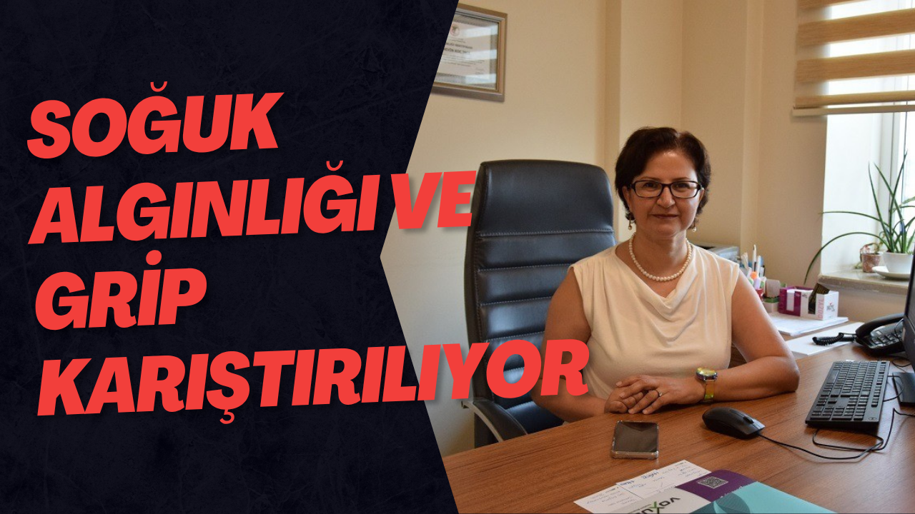 Soğuk Algınlığı Ve Grip Karıştırılıyor