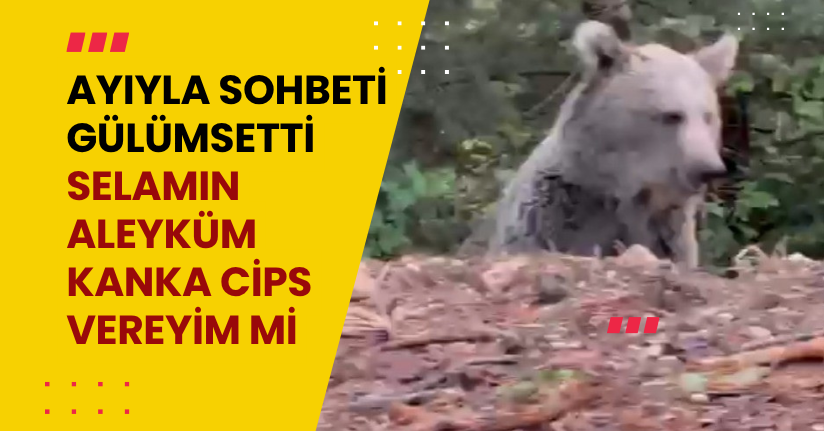 Ayıyla sohbeti gülümsetti: 