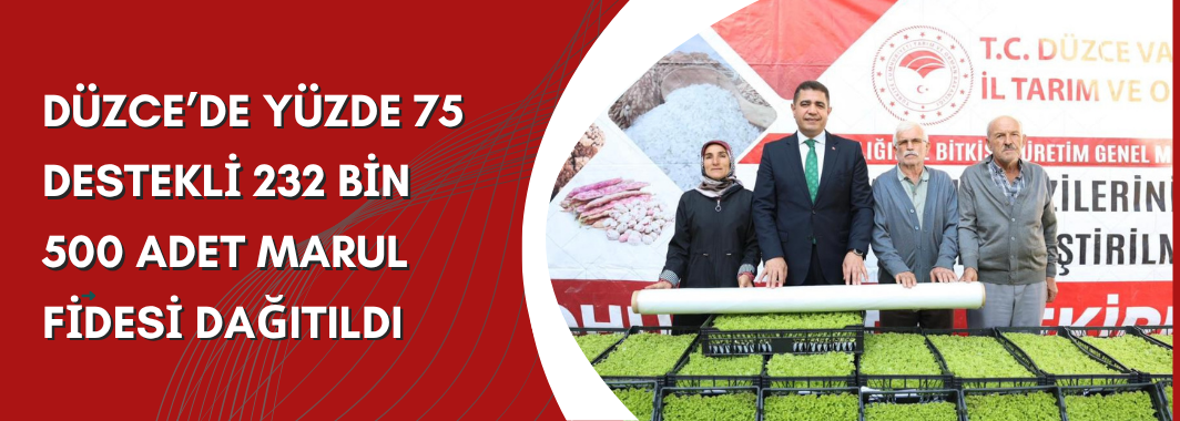 232 Bin 500 Adet Marul Fidesi Dağıtıldı