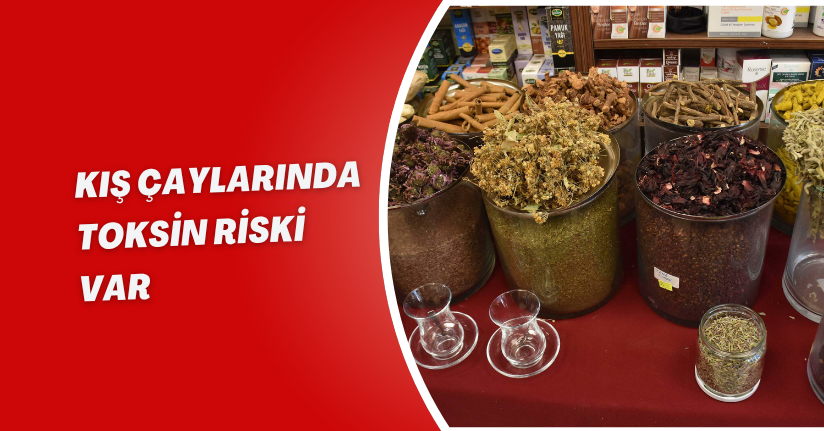 Kış çaylarında toksin riski var