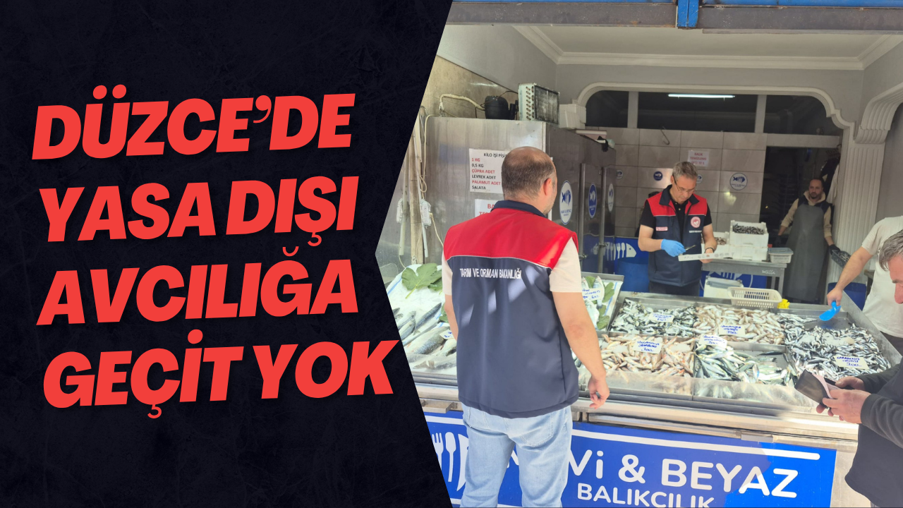 Düzce’de Yasa Dışı Avcılığa Geçit Yok