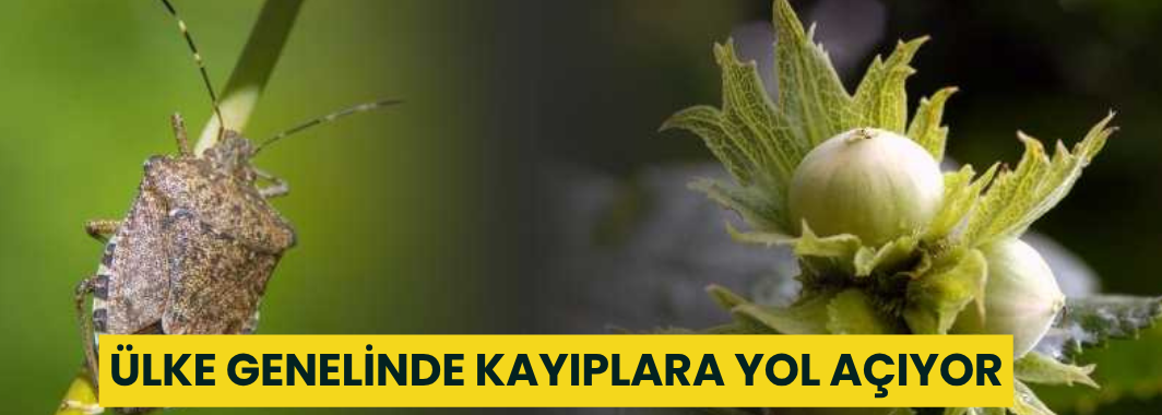 Ülke Genelinde Kayıplara Yol Açıyor