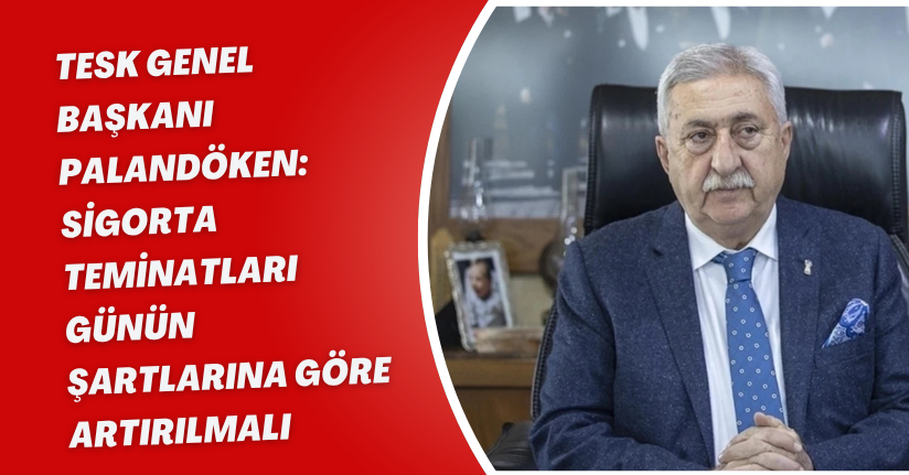 TESK Genel Başkanı Palandöken: 