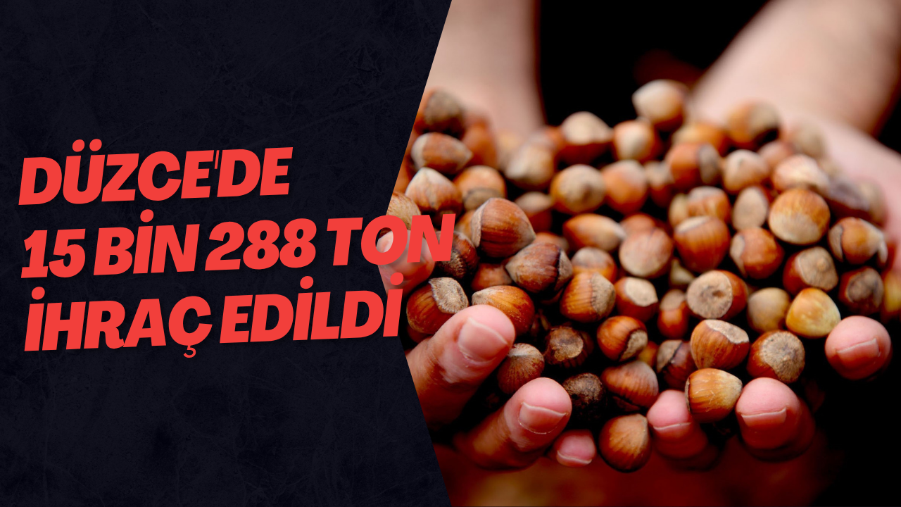 Düzce'de 15 Bin 288 Ton İhraç Edildi