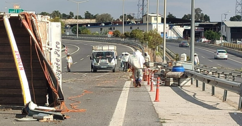 Otoyol çıkışında kamyon kaza yaptı, binlerce arı çevreye yayıldı: 3 yaralı