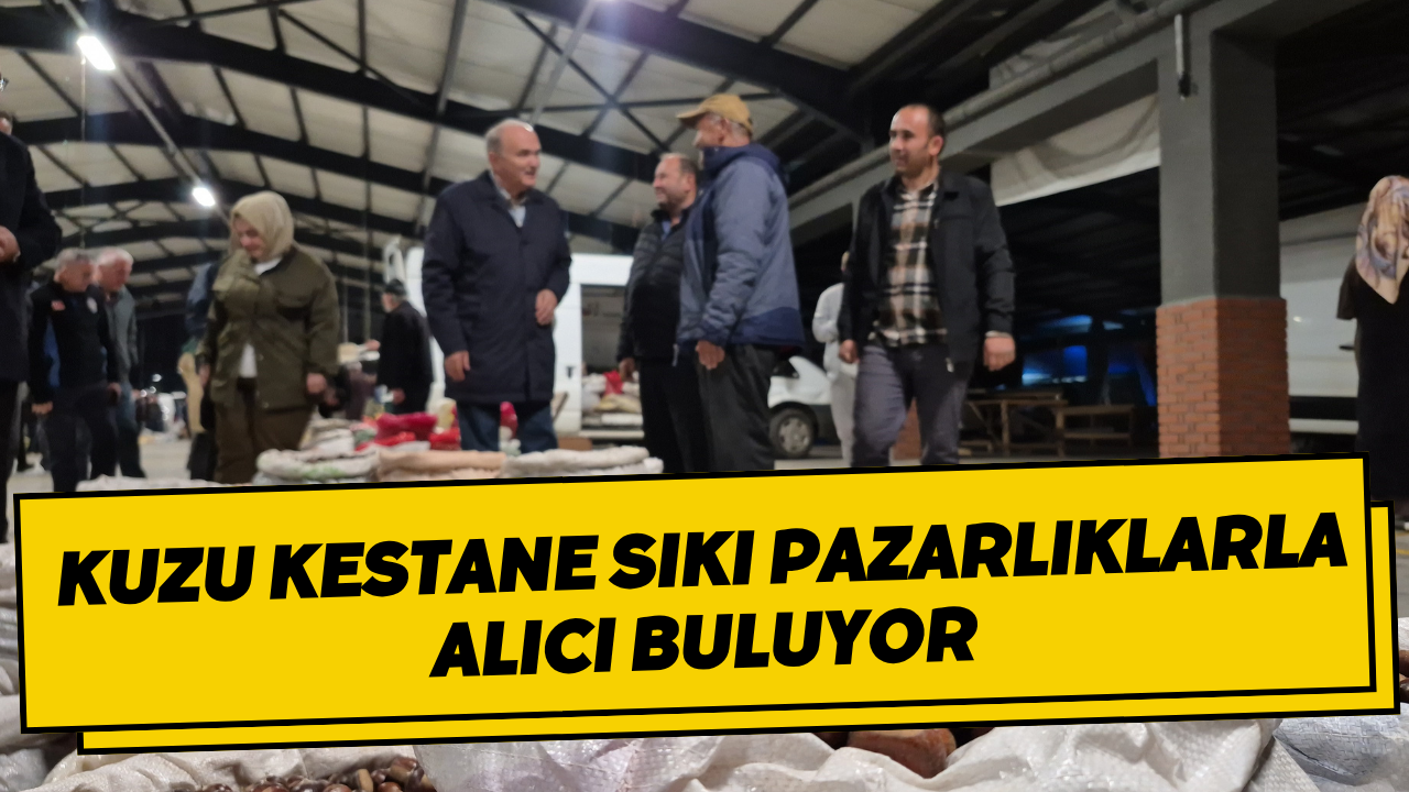 Kuzu Kestane Sıkı Pazarlıklarla Alıcı Buluyor