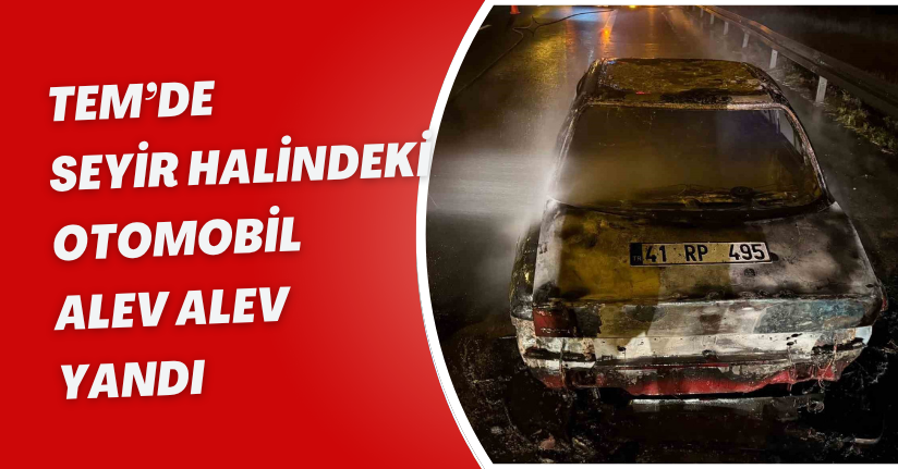 TEM’de seyir halindeki otomobil alev alev yandı