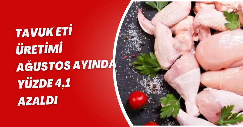 Tavuk eti üretimi Ağustos ayında yüzde 4,1 azaldı